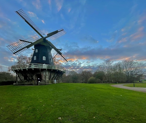 copenhagen 65