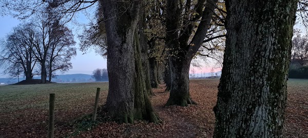 Steindlweg