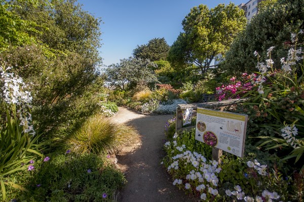 Garden for the Environment