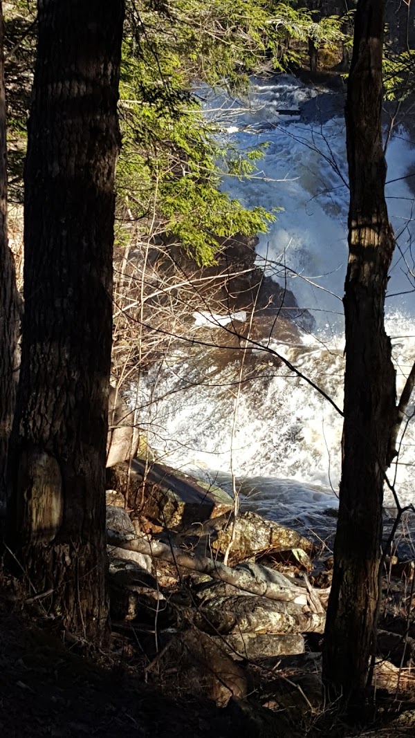 Bog River Falls 4