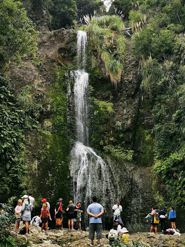 Piha 5