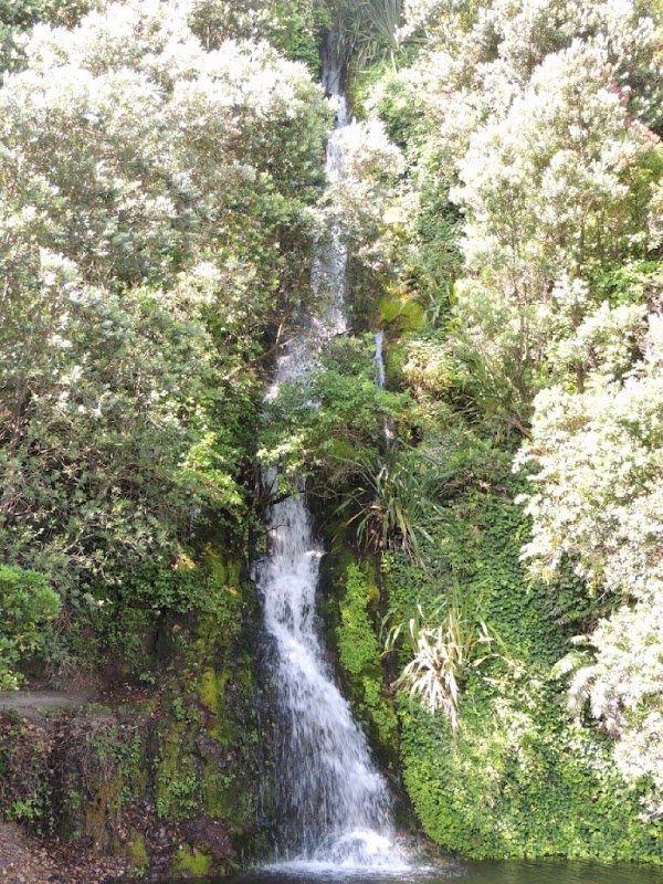 Piha 4