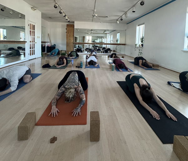 TAOU STUDIO - Carytown