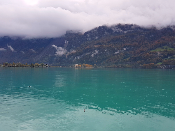 Brienz 4