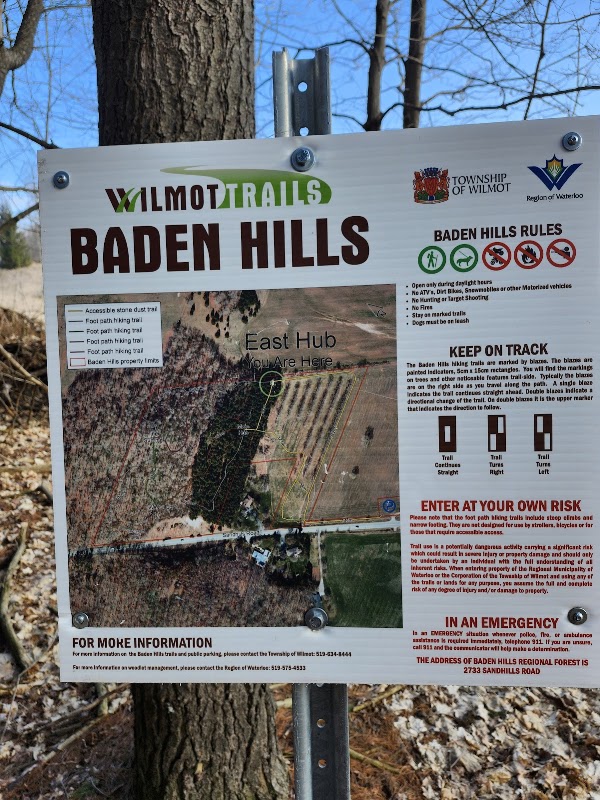 Baden Hills Regional Forest 1
