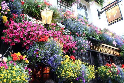 Churchill Arms