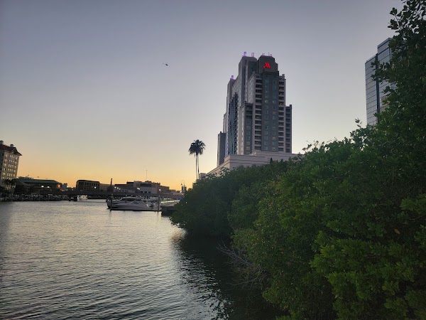 Tampa 5