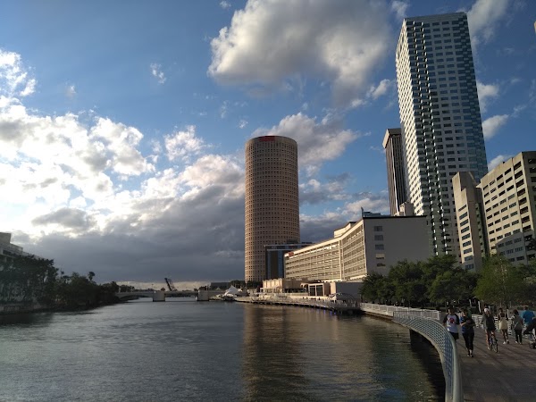 Tampa 4