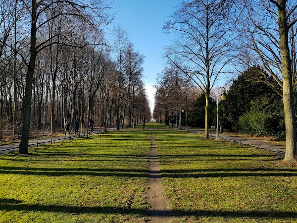 Tiergarten 4