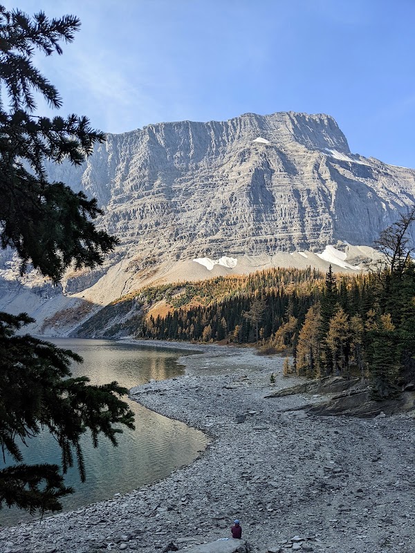 Floe Lake 2