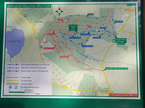 Ballinastoe Wood 2