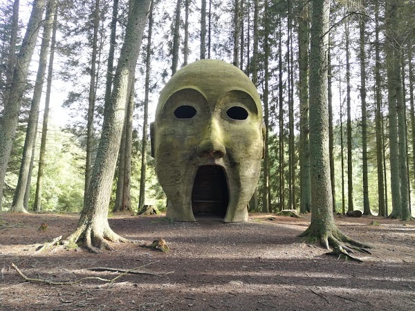 Kielder Forest