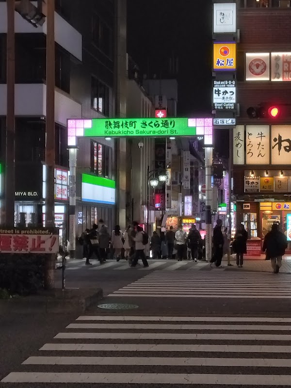 Kabukicho Sakura-dori Street