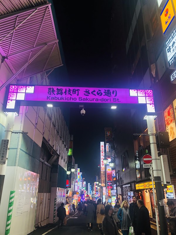 Kabukicho Sakura-dori Street 2