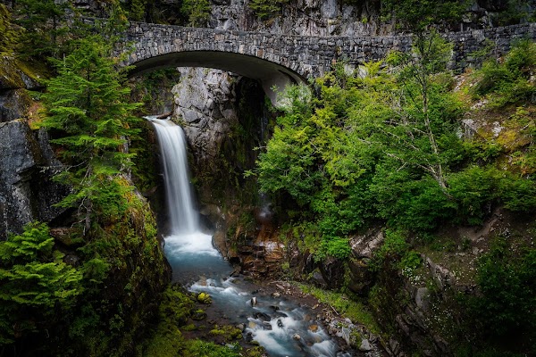 Christine Falls