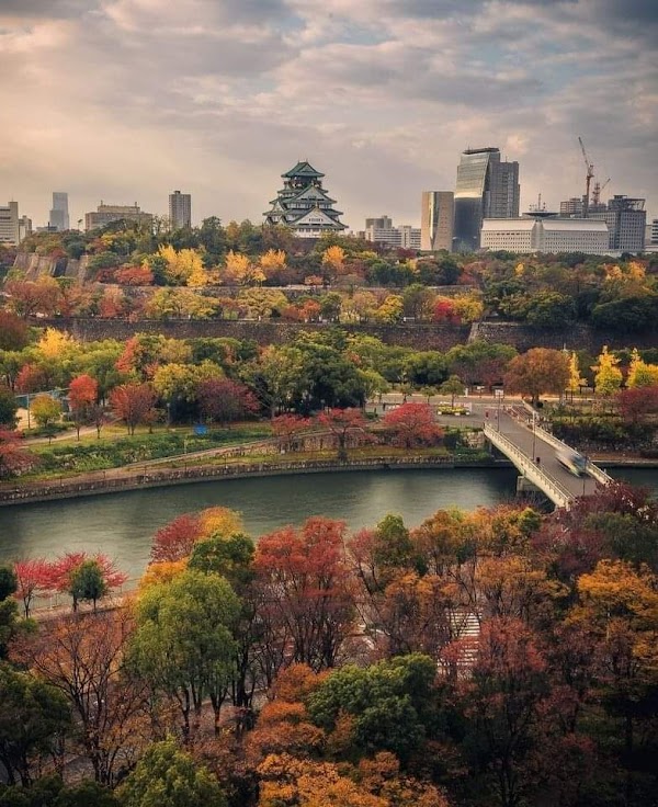 Osaka 4