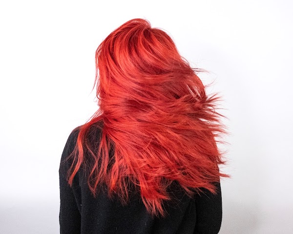 Hair Philosophy 4