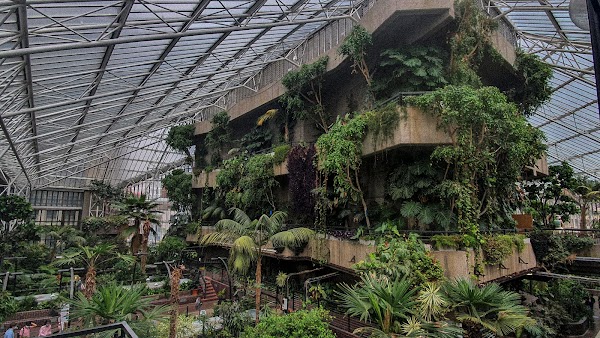 Barbican Conservatory 1