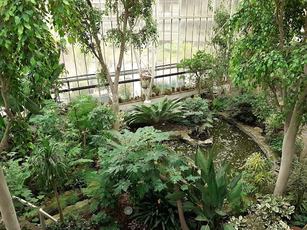Barbican Conservatory 5
