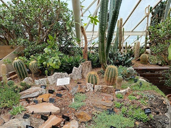Barbican Conservatory 2