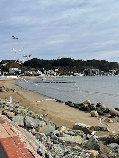 Yeongil Bay