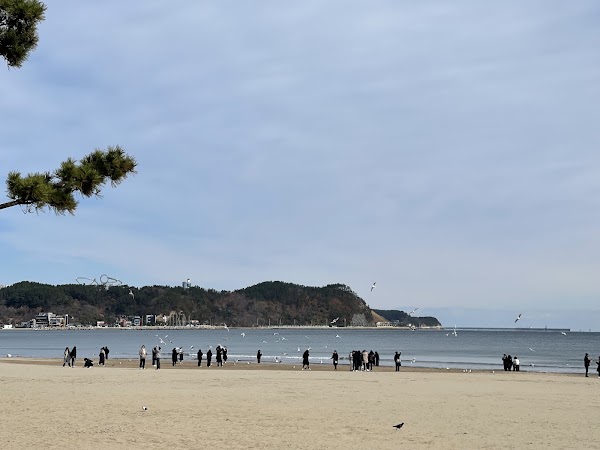 Yeongil Bay 5