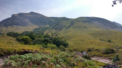 Eravikulam National Park