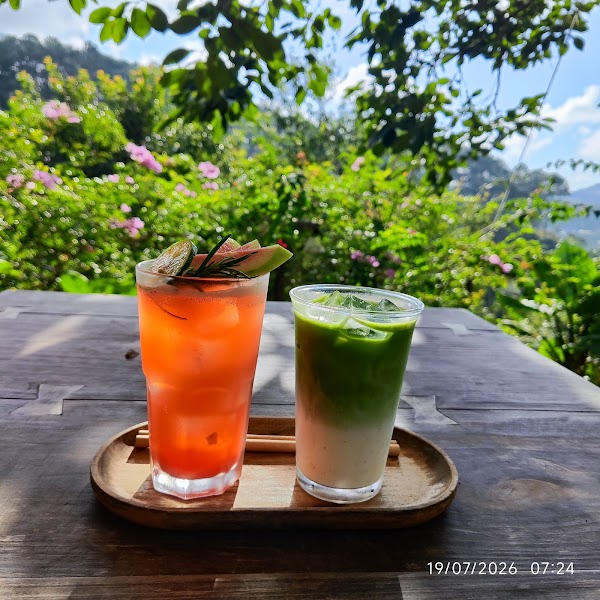 Tiệm cà phê Nắng Thuỷ Tinh 4