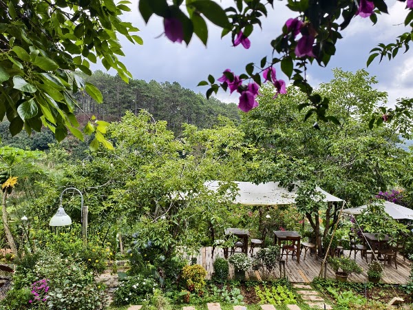 Tiệm cà phê Nắng Thuỷ Tinh 3
