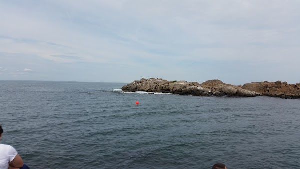 NUBBLE LIGHT / SOHIER PARK 4