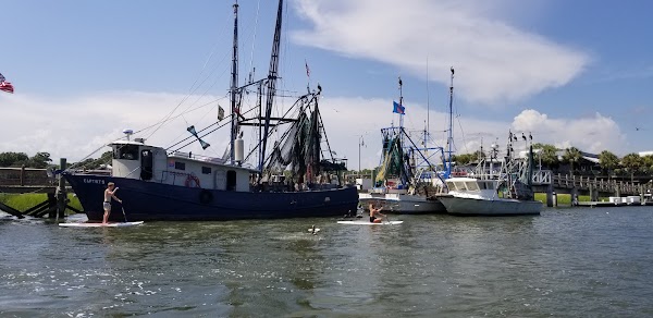 Charleston Harbor Marina 5
