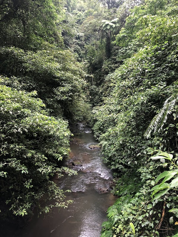 Nungnung Waterfall 2