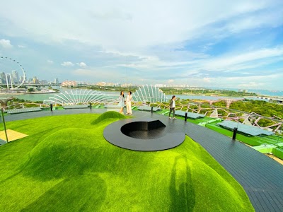 Supertree Observatory 1