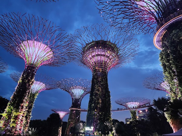 Supertree Observatory 5