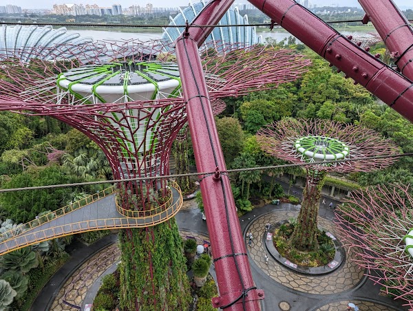 Supertree Observatory 4