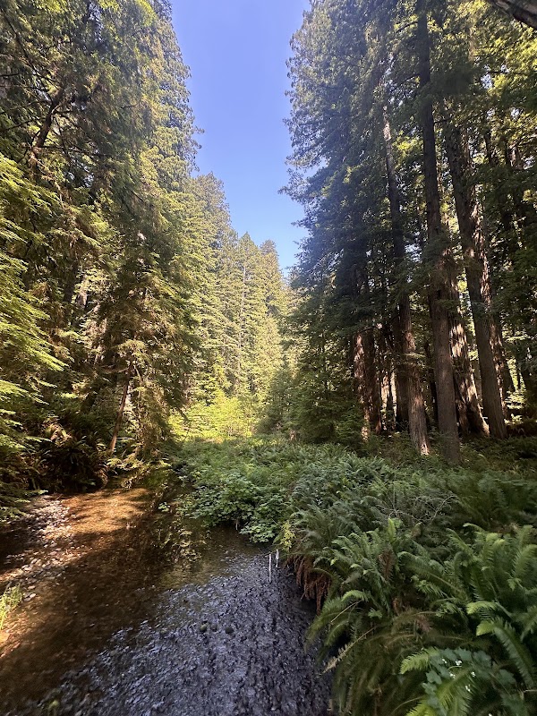 Karl Knapp Trail