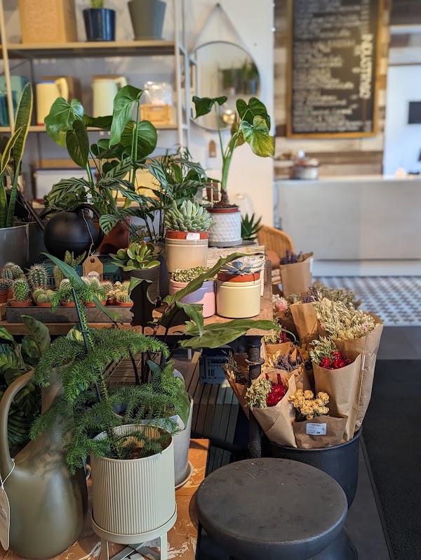 Industry & Co - Home 3