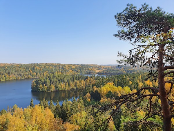 Aulangonjärvi 1