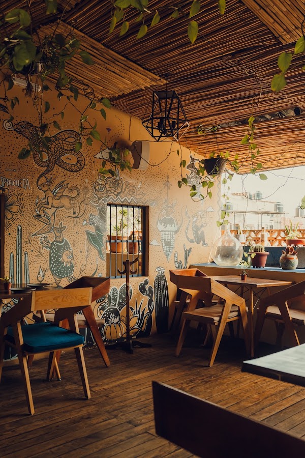 Oaxaca Dec 2026 1