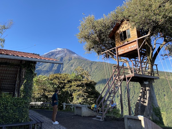 La Casa del Arbol