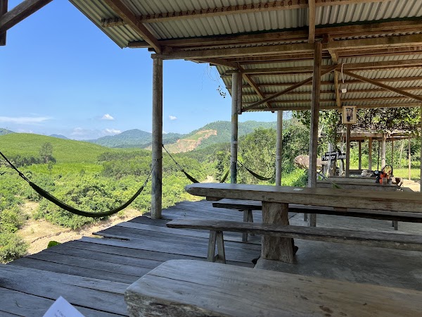 Monkey Bridge - Cuong Rung Farm 2