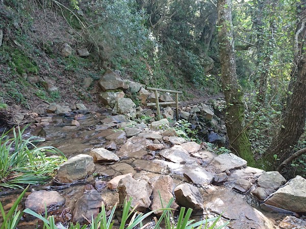 Área recreativa El Bujeo