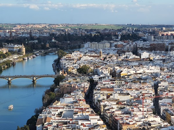 Triana 4
