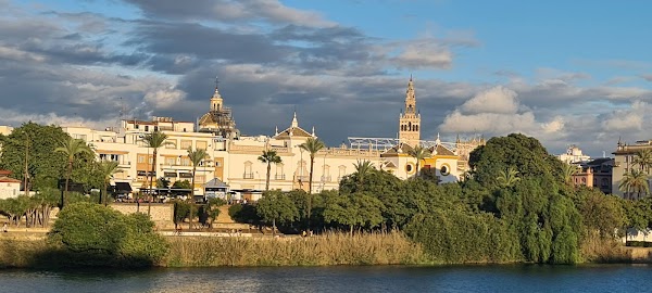 Triana 3
