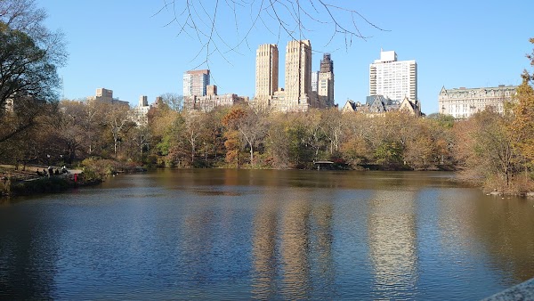 Central Park 3