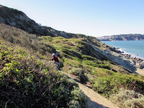 Golden Gate Park 5