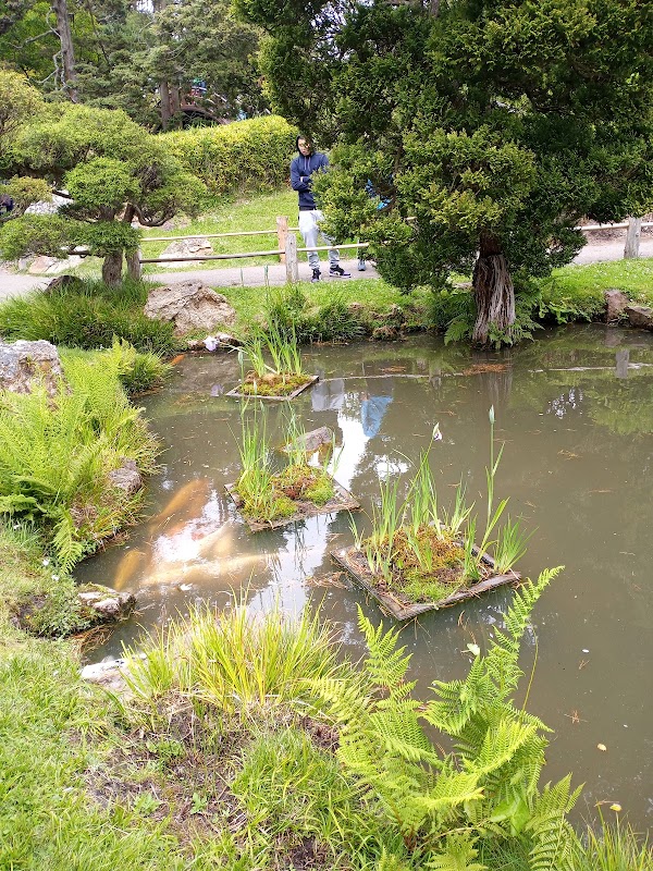 Golden Gate Park 4