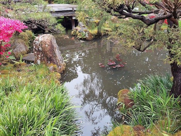Golden Gate Park 3