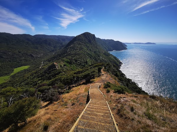 Omanawanui Track carpark 5