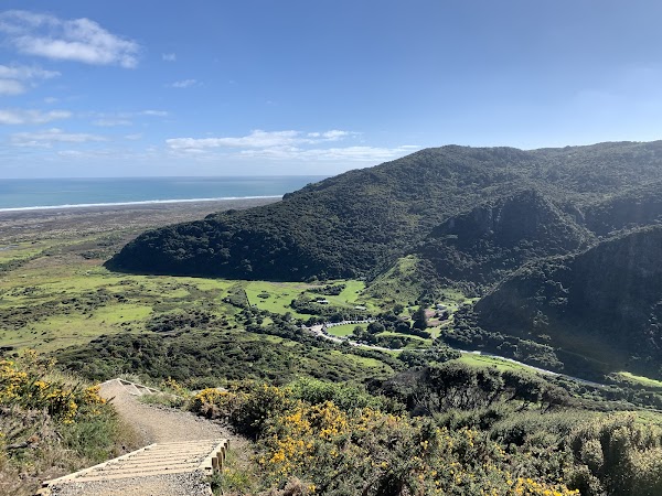 Omanawanui Track carpark 4